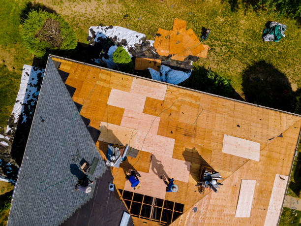 Best Best Roofing Contractors  in Dock Junction, GA