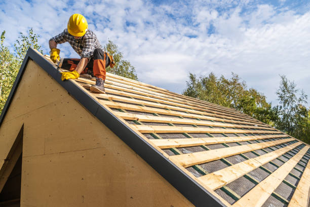 Best Metal Roofing Contractor  in Dock Junction, GA